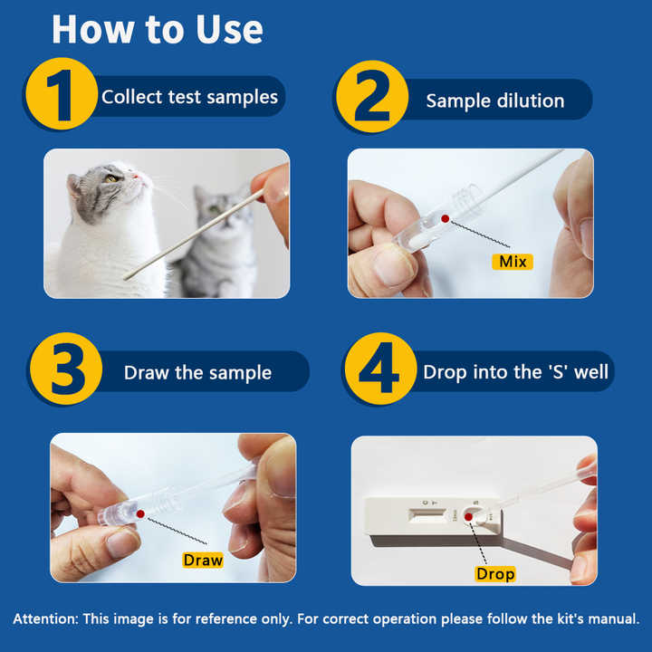 Animal Accessories - Cat Factory Cats