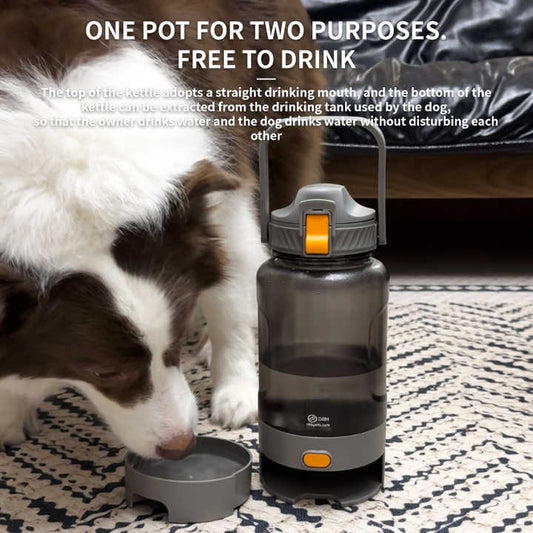 Bowls and Feeders - Portable Water Dispenser for Dogs