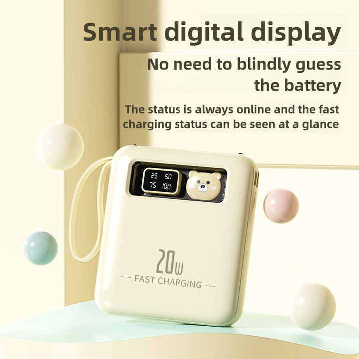 Portable Mini High Capacity Power Bank.