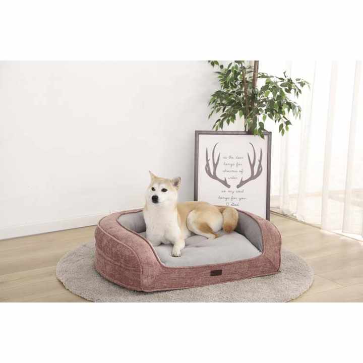 dog bed . سرير كلب