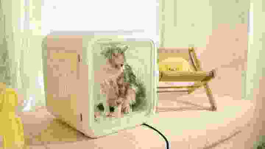 Newest Automatic Intelligent Hair Dryer