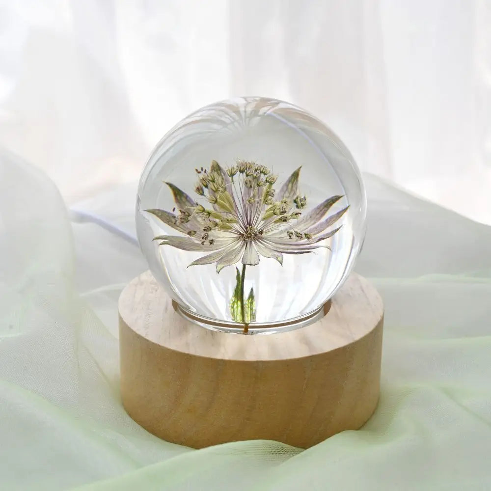 New Gift Set