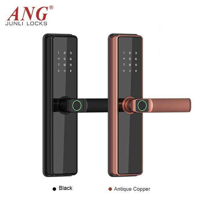 High security smart door lock
