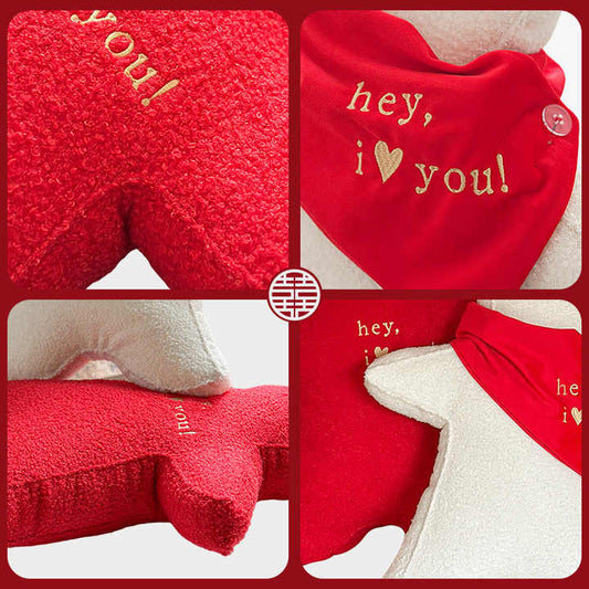 ذكرى زواج وسادة تذكارية