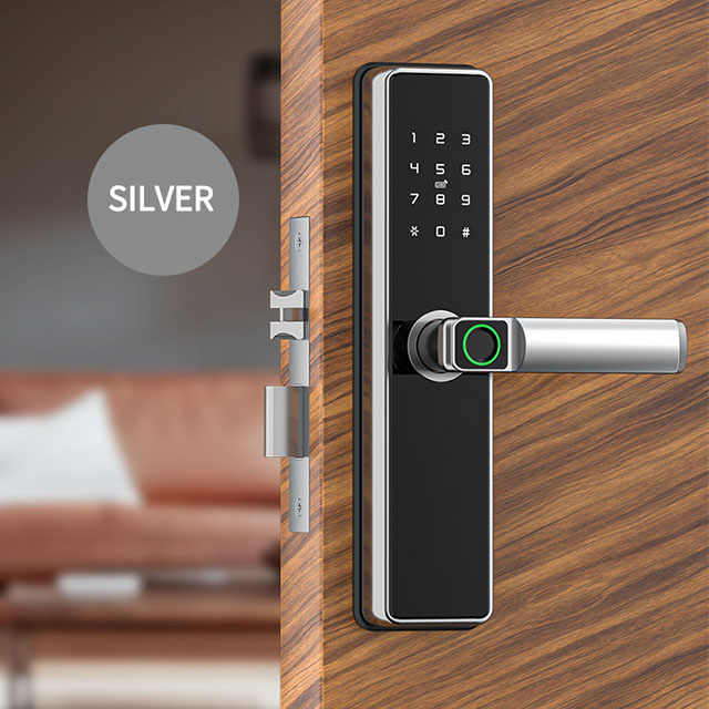 High security smart door lock