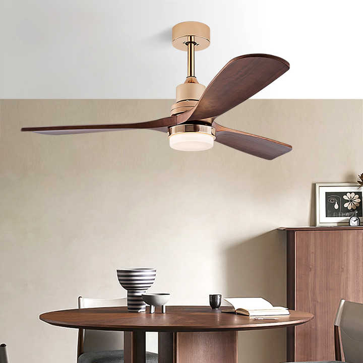 Interior lighting and ceiling fan