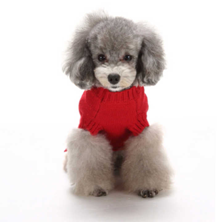 Cute Christmas Clothes for Dogs Reindeer-ملابس عيد الميلاد