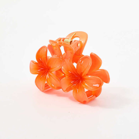 Large Colorful Hair Clips Hair