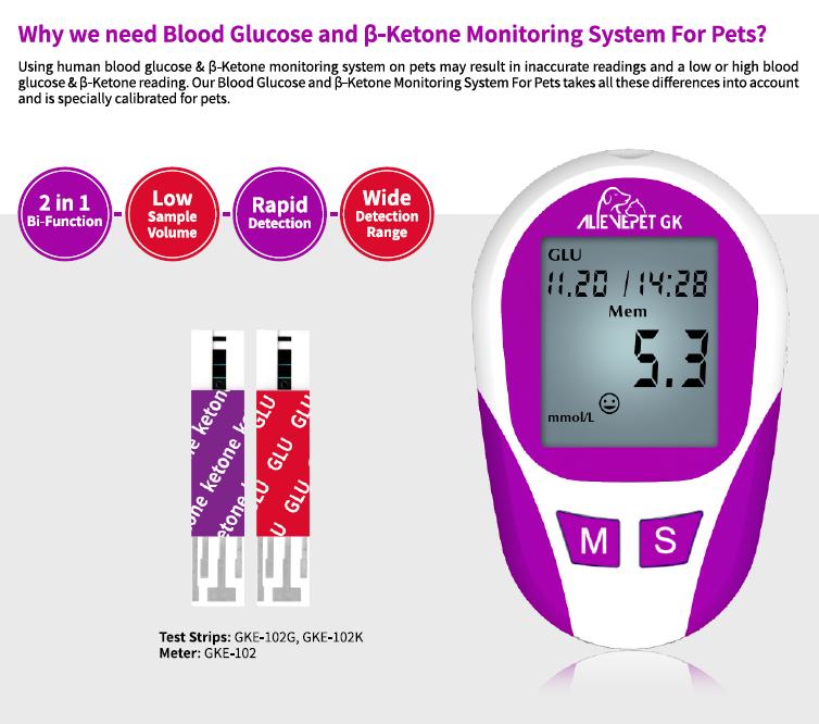 مستلزمات حيوانيه طبية