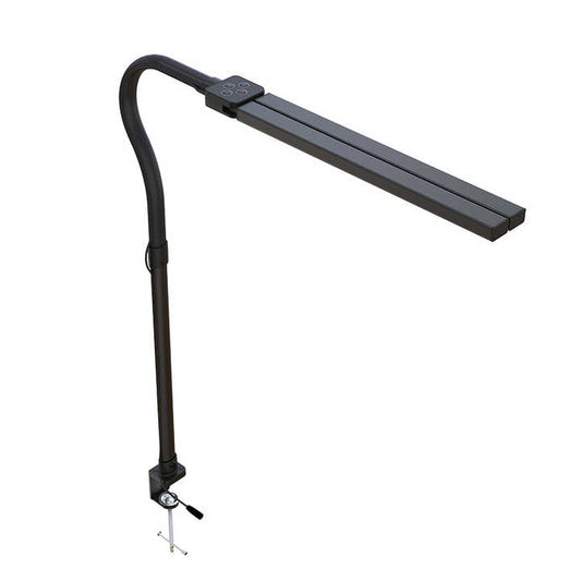 حديث جديد برأسين