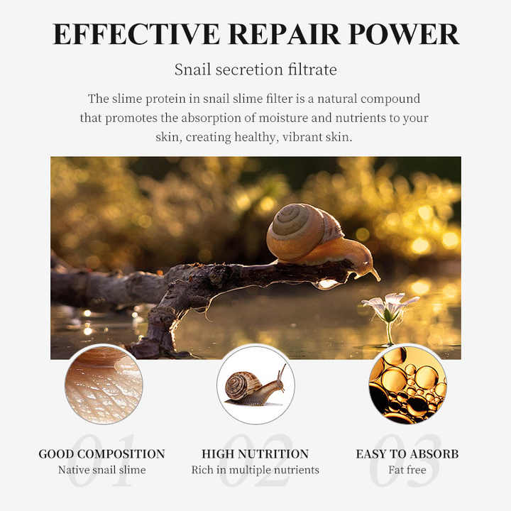 Skin Care Snail Kit