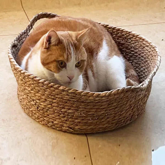 سرير على شكل سلة - اكسسوارات حيوانات