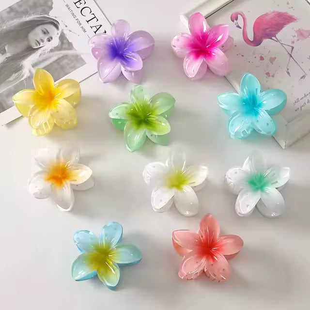 مستلزمات شعر , Hair supplies