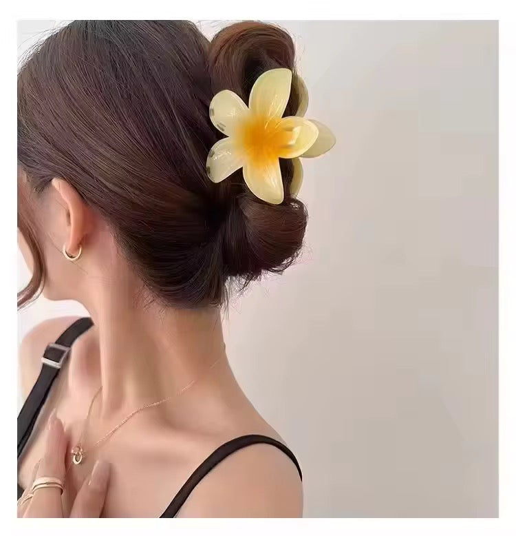 مستلزمات شعر , Hair supplies