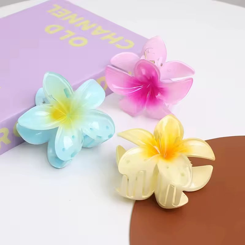 مستلزمات شعر , Hair supplies