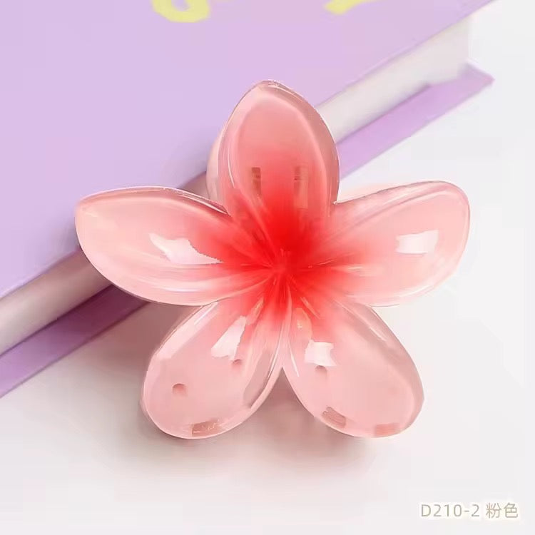 مستلزمات شعر , Hair supplies
