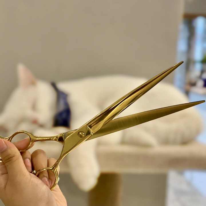 Inch Pet Item Animals Dog Grooming-مقصات العناية بالكلاب