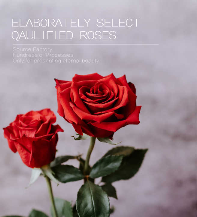 lowers Long Life Eternal Preserved Rose- هدايا عيد الحب من HFloral، زهور مزخرفة خالد