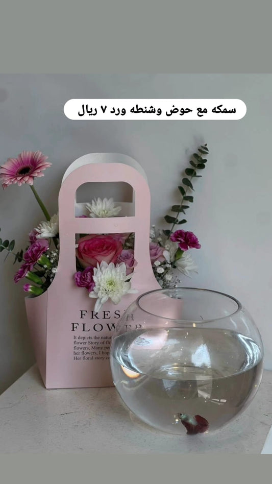 ميرا وز \سمكه مع حوض