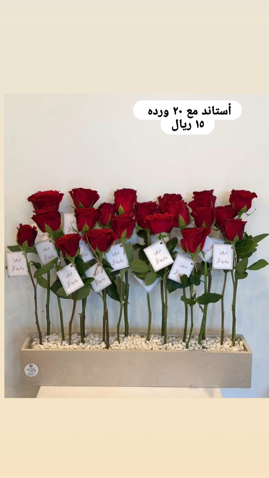 ميرا روز\استاند