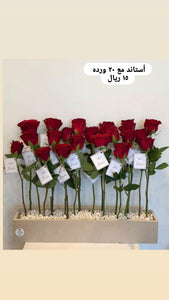 ميرا روز\استاند