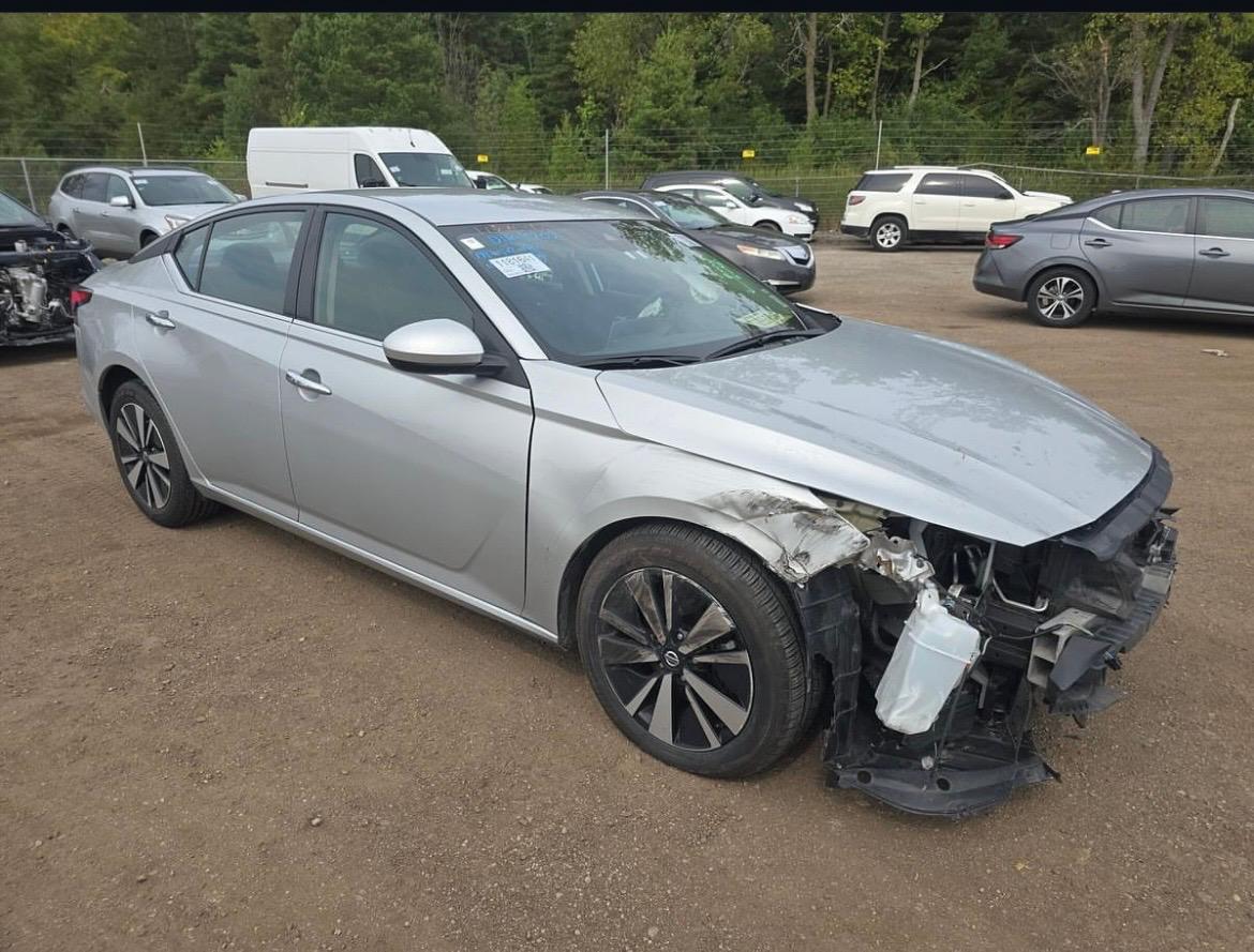 ابو عبدالله\ التيما 2022