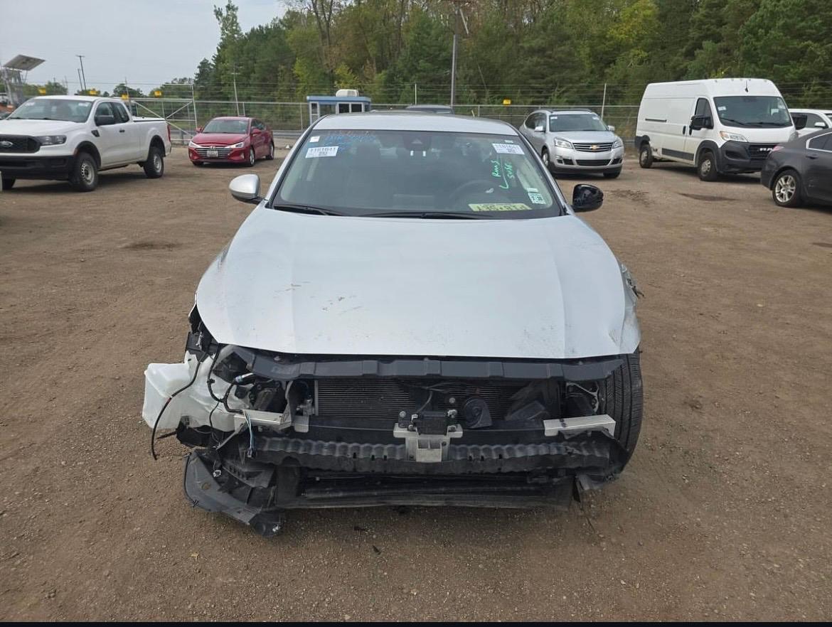 ابو عبدالله\ التيما 2022