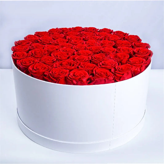 gifts-هدايا