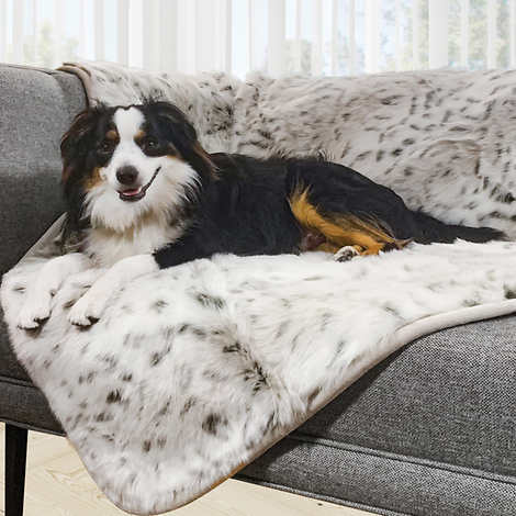 مفارش حيوانات