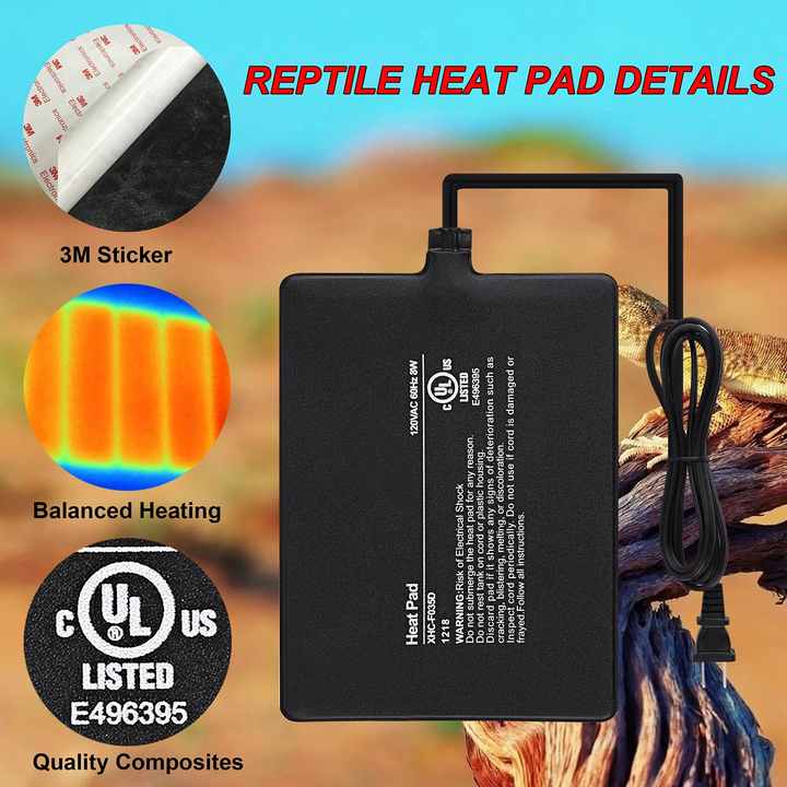 Reptile Pet -حوض أسماك