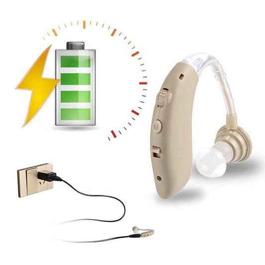 Digital Microphone Aids 