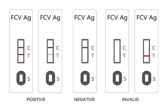 Animal Accessories - Cat Factory Cats 