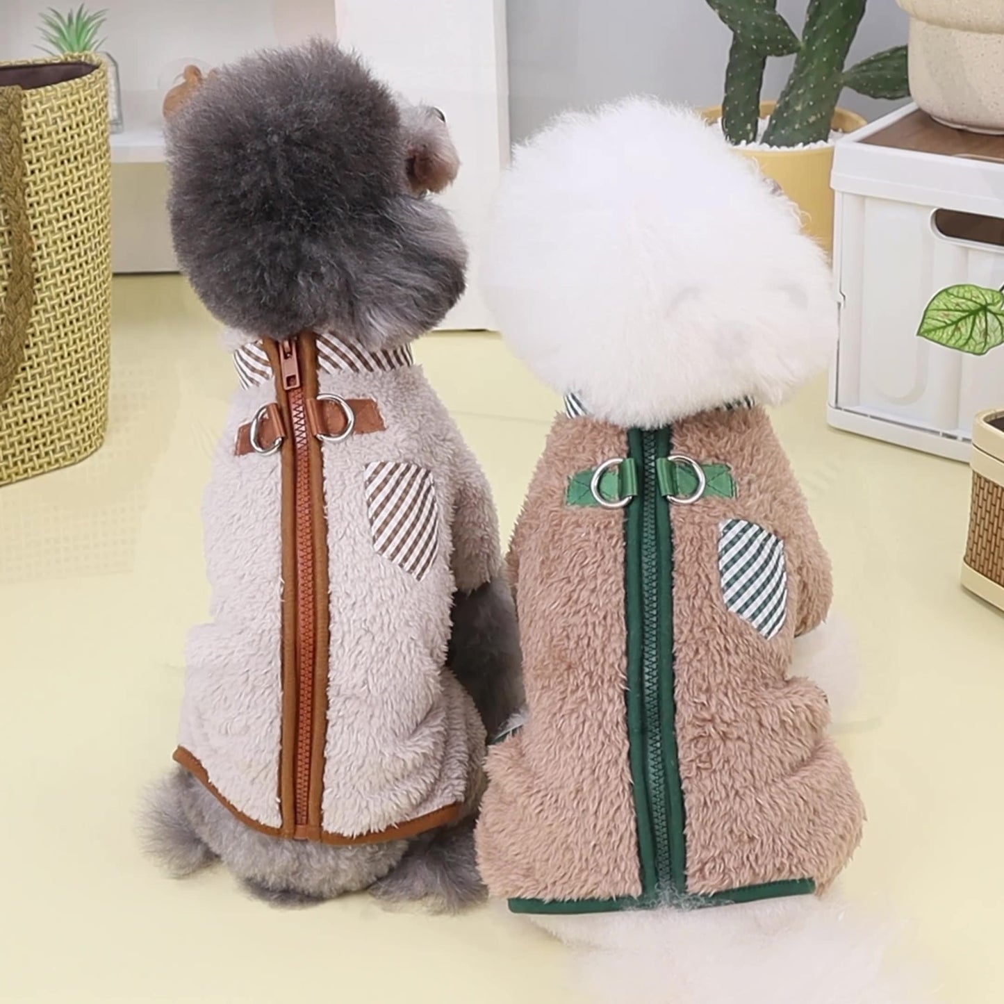 ملابس حيوانات