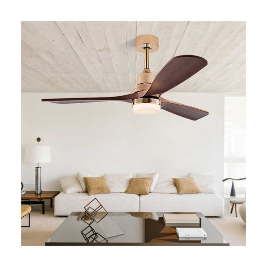 Interior lighting and ceiling fan 