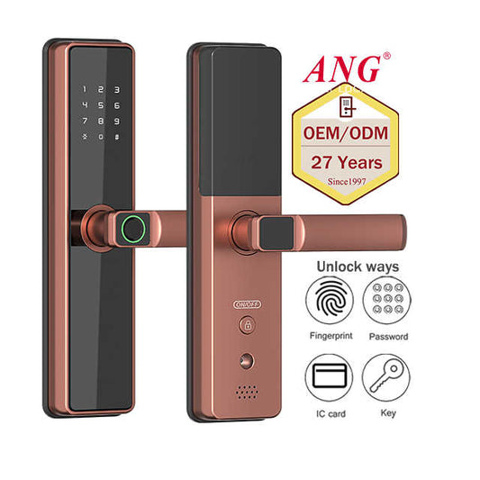 High security smart door lock