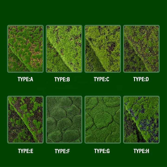 متر جدار نبات ارضيات