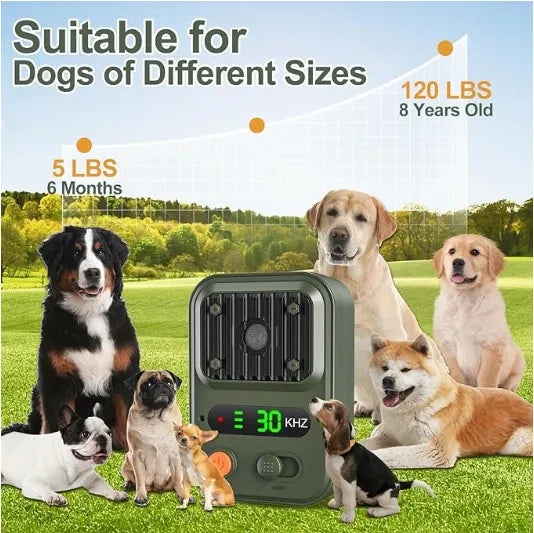 Animal Accessories - Pet Supplies 