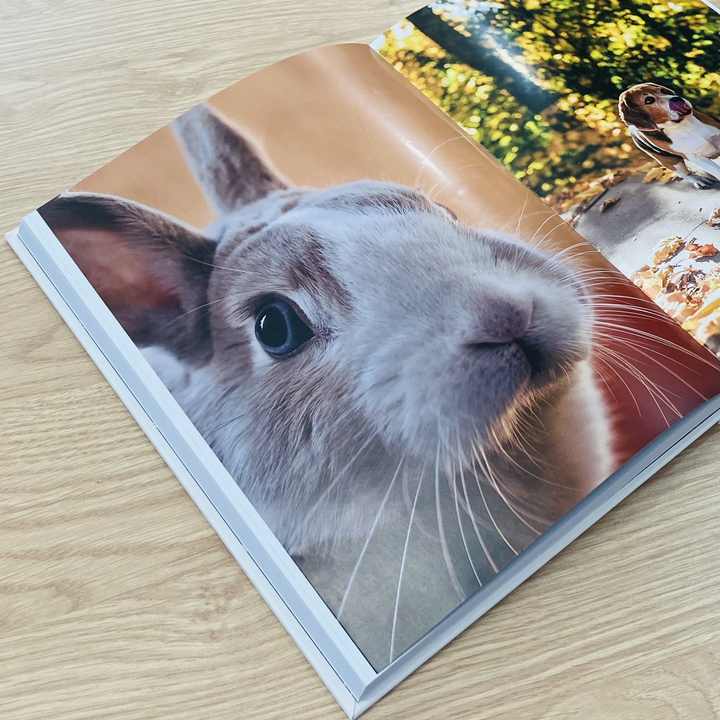 Custom Hardcover Book: The New Decor Story Book 