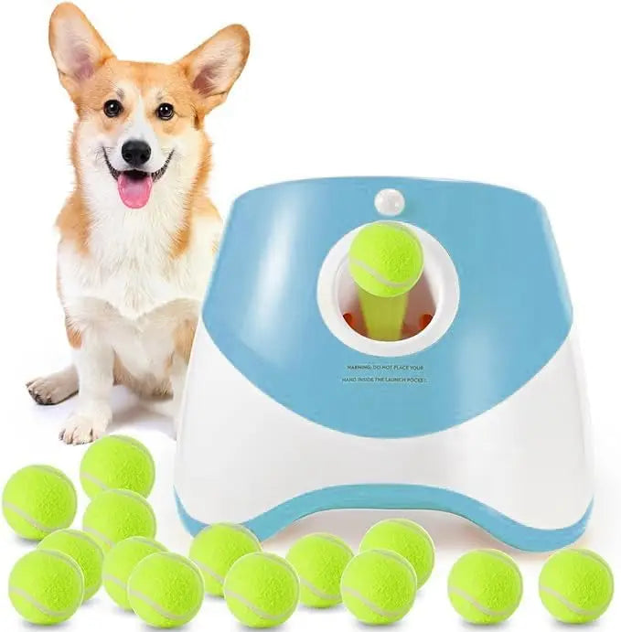 Dog Toys - Pet Accessories 