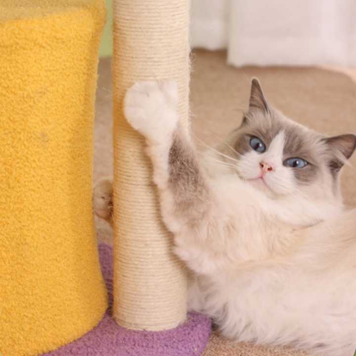 Cat Climbing Frame Sisal Cat Treeمنصة خدش القطط الفاخرة
