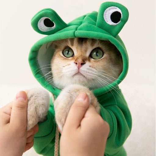 ملابس حيوانات