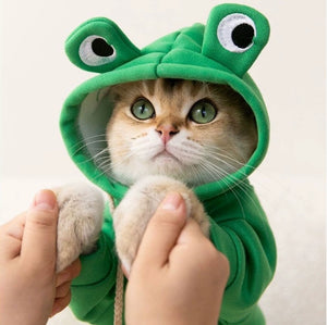 ملابس حيوانات