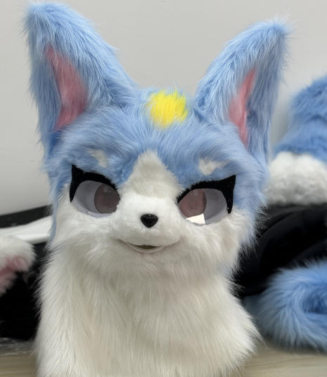 ملابس حيوانات