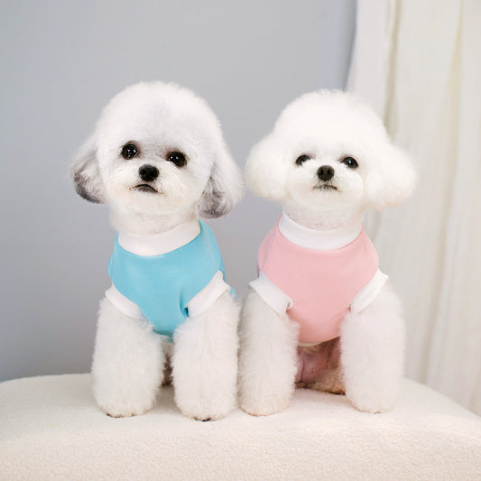 اكسسوارات حيوانات