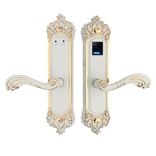 smart door lock 