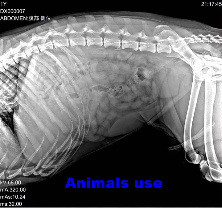 14x17 Inch High Resolution Veterinary Medical. جهاز تصوير بالأشعة السينية لاسلكي عالي الدقة 14 × 17 بوصة