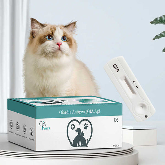 مجموعة اختبار سريع لفيروس بارفو الحيوانات الأليفة مستلزمات طبية