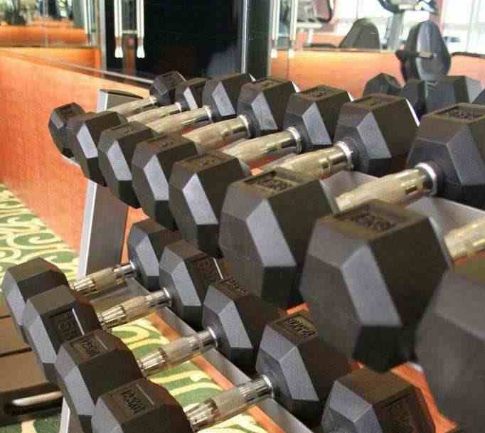 Gym pistol weights