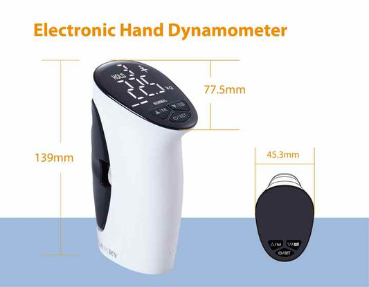 Digital Hand 