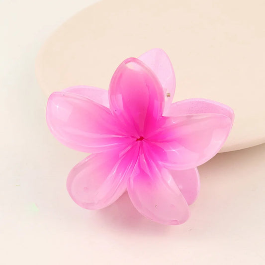 مشبك شعر شفاف - Hair Clip